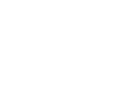 Gallery Button