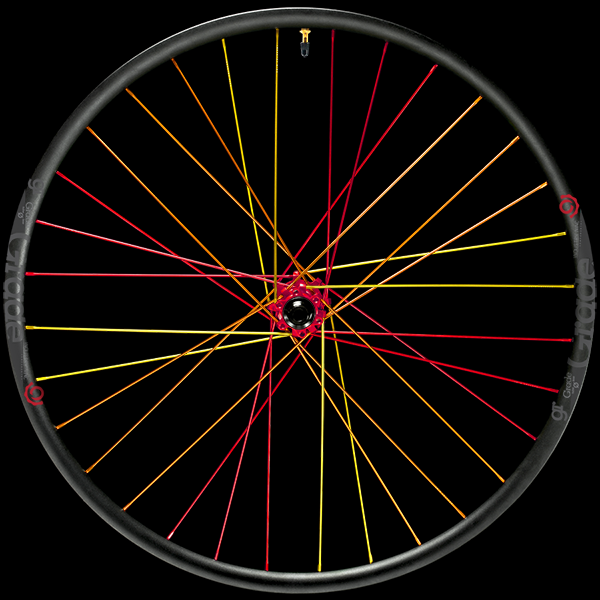 Custom Wheel