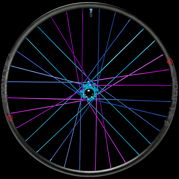 Custom Wheel