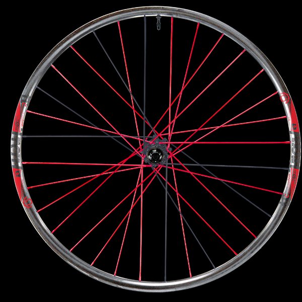Custom Wheel