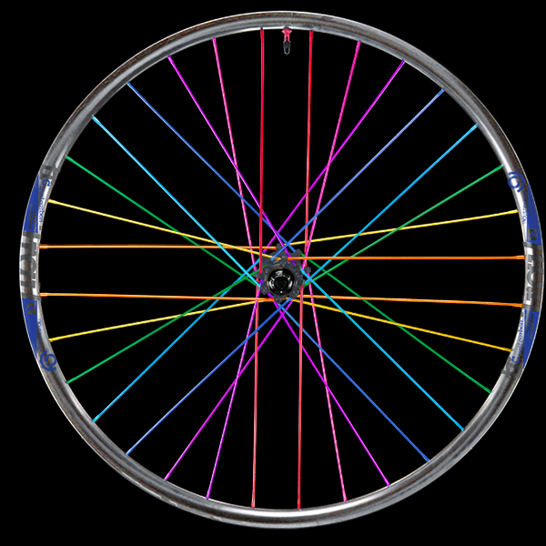 Custom Wheel